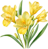 ai généré aquarelle La peinture de une freesia fleur. png