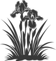 AI generated Silhouette iris flower in the ground black color only vector