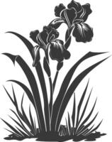 AI generated Silhouette iris flower in the ground black color only vector