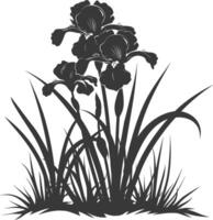 AI generated Silhouette iris flower in the ground black color only vector