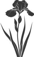 AI generated Silhouette iris flower black color only vector