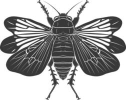 AI generated Silhouette cicada Insect animal black color only vector