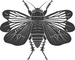 AI generated Silhouette cicada Insect animal black color only vector