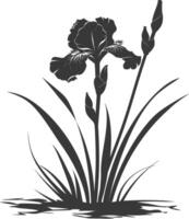 AI generated Silhouette iris flower in the ground black color only vector