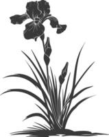 AI generated Silhouette iris flower in the ground black color only vector