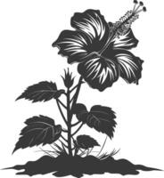 AI generated Silhouette hibiscus flower in the ground black color only vector