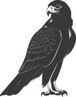 AI generated Silhouette hawk animal black color only full body vector