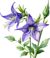 AI generated Watercolor painting of Creeping bellflower flower. png