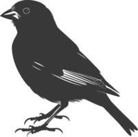 AI generated Silhouette House sparrow bird animal black color only vector