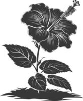 AI generated Silhouette hibiscus flower in the ground black color only vector