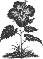 AI generated Silhouette hibiscus flower in the ground black color only vector