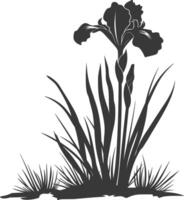 AI generated Silhouette iris flower in the ground black color only vector