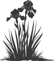 AI generated Silhouette iris flower in the ground black color only vector