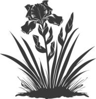 AI generated Silhouette iris flower in the ground black color only vector