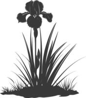 AI generated Silhouette iris flower in the ground black color only vector