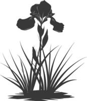 AI generated Silhouette iris flower in the ground black color only vector