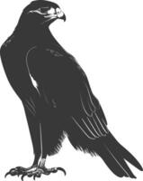 AI generated Silhouette hawk animal black color only full body vector