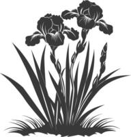 AI generated Silhouette iris flower in the ground black color only vector