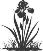 AI generated Silhouette iris flower in the ground black color only vector