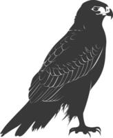 AI generated Silhouette hawk animal black color only full body vector