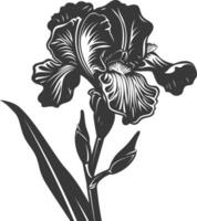 AI generated Silhouette iris flower black color only vector