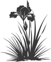 AI generated Silhouette iris flower in the ground black color only vector