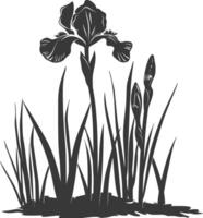 AI generated Silhouette iris flower in the ground black color only vector