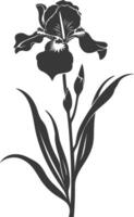 AI generated Silhouette iris flower black color only vector