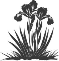 AI generated Silhouette iris flower in the ground black color only vector