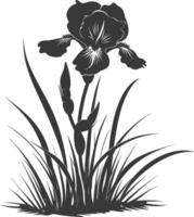 AI generated Silhouette iris flower in the ground black color only vector