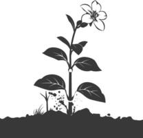 AI generated Silhouette jasmin flower in the ground black color only vector