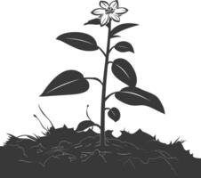 AI generated Silhouette jasmin flower in the ground black color only vector