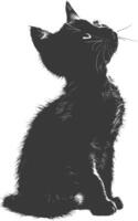 AI generated Silhouette kitten cute animal black color only full body vector