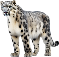 ai gerado aguarela pintura do uma fofa neve leopardo. png