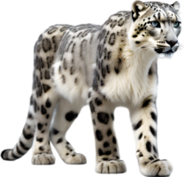 ai generato acquerello pittura di un' carino neve leopardo. png