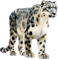 ai generado acuarela pintura de un linda nieve leopardo. png