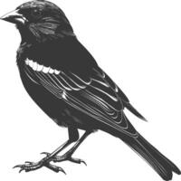 AI generated Silhouette House sparrow bird animal black color only vector