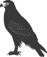 AI generated Silhouette hawk animal black color only full body vector