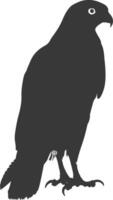 AI generated Silhouette hawk animal black color only full body vector