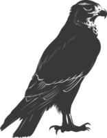 AI generated Silhouette hawk animal black color only full body vector