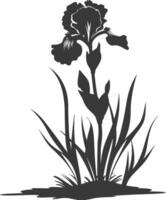 AI generated Silhouette iris flower in the ground black color only vector