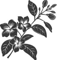 AI generated Silhouette jasmin flower black color only vector