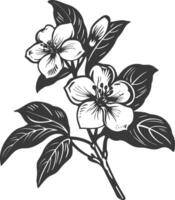 AI generated Silhouette jasmin flower black color only vector