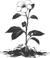 AI generated Silhouette jasmin flower in the ground black color only vector