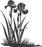 AI generated Silhouette iris flower in the ground black color only vector