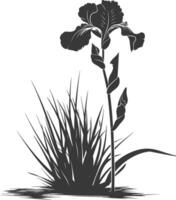 AI generated Silhouette iris flower in the ground black color only vector