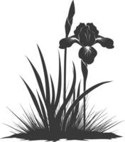 AI generated Silhouette iris flower in the ground black color only vector