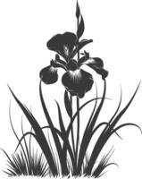 AI generated Silhouette iris flower in the ground black color only vector