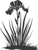 AI generated Silhouette iris flower in the ground black color only vector