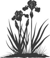 AI generated Silhouette iris flower in the ground black color only vector